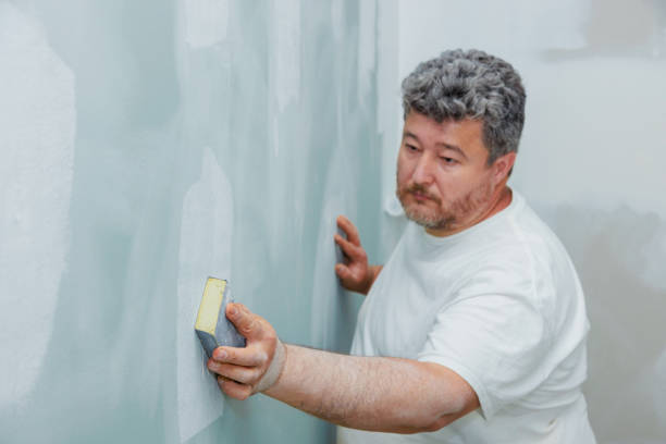 Best Mold Documentation for Insurance Claims  in Balmville, NY