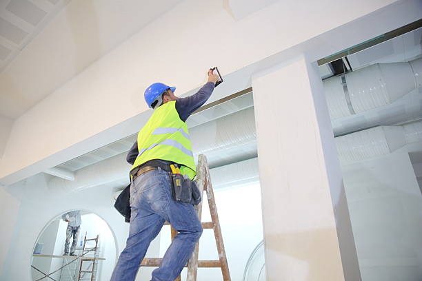 Best Black Mold Removal  in Balmville, NY