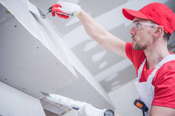 Best Post-Construction Mold Inspection  in Balmville, NY