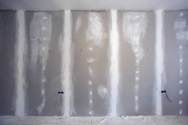 Professional Mold Removal in Balmville, NY